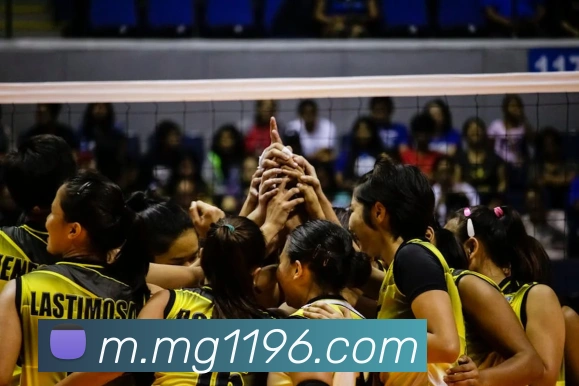 MG冰球突破服务体系